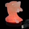 Dolphin Shape Salt Lamp