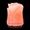Flower-Salt-Lamp